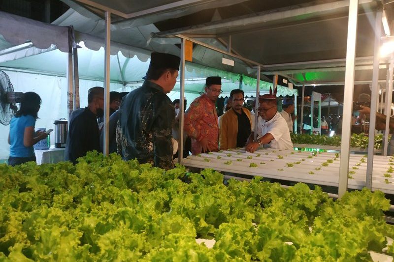 <em>Fastaman Green </em>Jadi Taman Edukasi <em>Urban Farming </em>Pertama di Sidoarjo