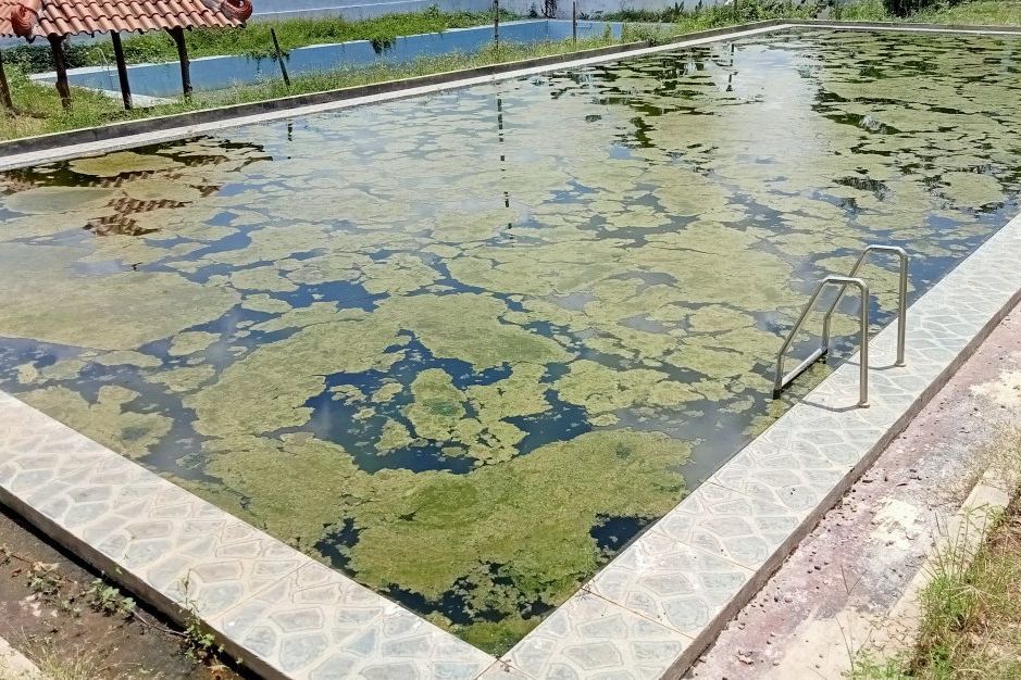 Telan Dana Rp 931 Juta, Kolam Renang di Desa ini Belum Bisa Buka