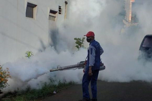 DBD di Kota Probolinggo Meningkat, Lima Bulan Terdapat 161 Kasus