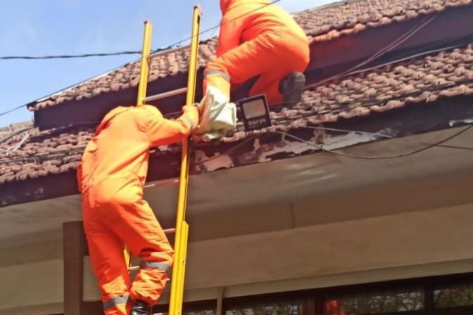 Ganggu Aktivitas Pegawai, Sarang Tawon Vespa di Atap Kantor PUPR Kota Probolinggo Dievakuasi