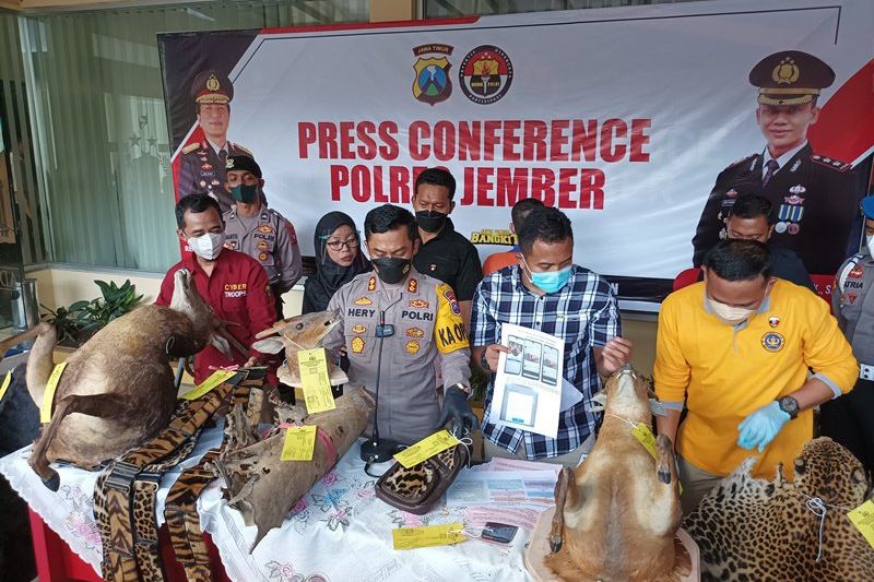 Polres Jember Ungkap Jual Beli Kerajinan Berbahan Satwa Langka Dilindungi