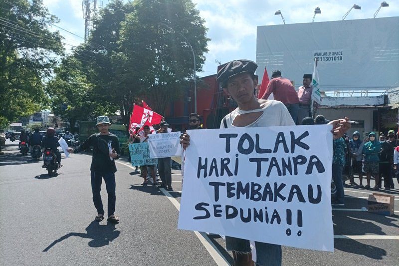 Tolak Hari Anti Tembakau, Petani dan GMNI di Jember Klaim Rokok Tak Ganggu Kesehatan