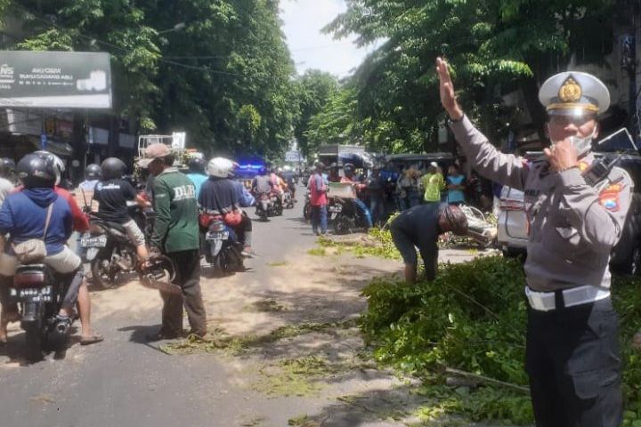 Komisi III DPRD Kota Probolinggo Bakal Gelar RDP Menyikapi Pohon Tumbang yang Telan 2 Korban