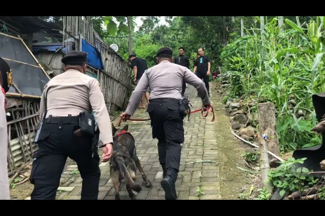 Polisi Pakai Anjing Pelacak Periksa Rumah Bandar Narkoba di Mojokerto, Ini Hasilnya