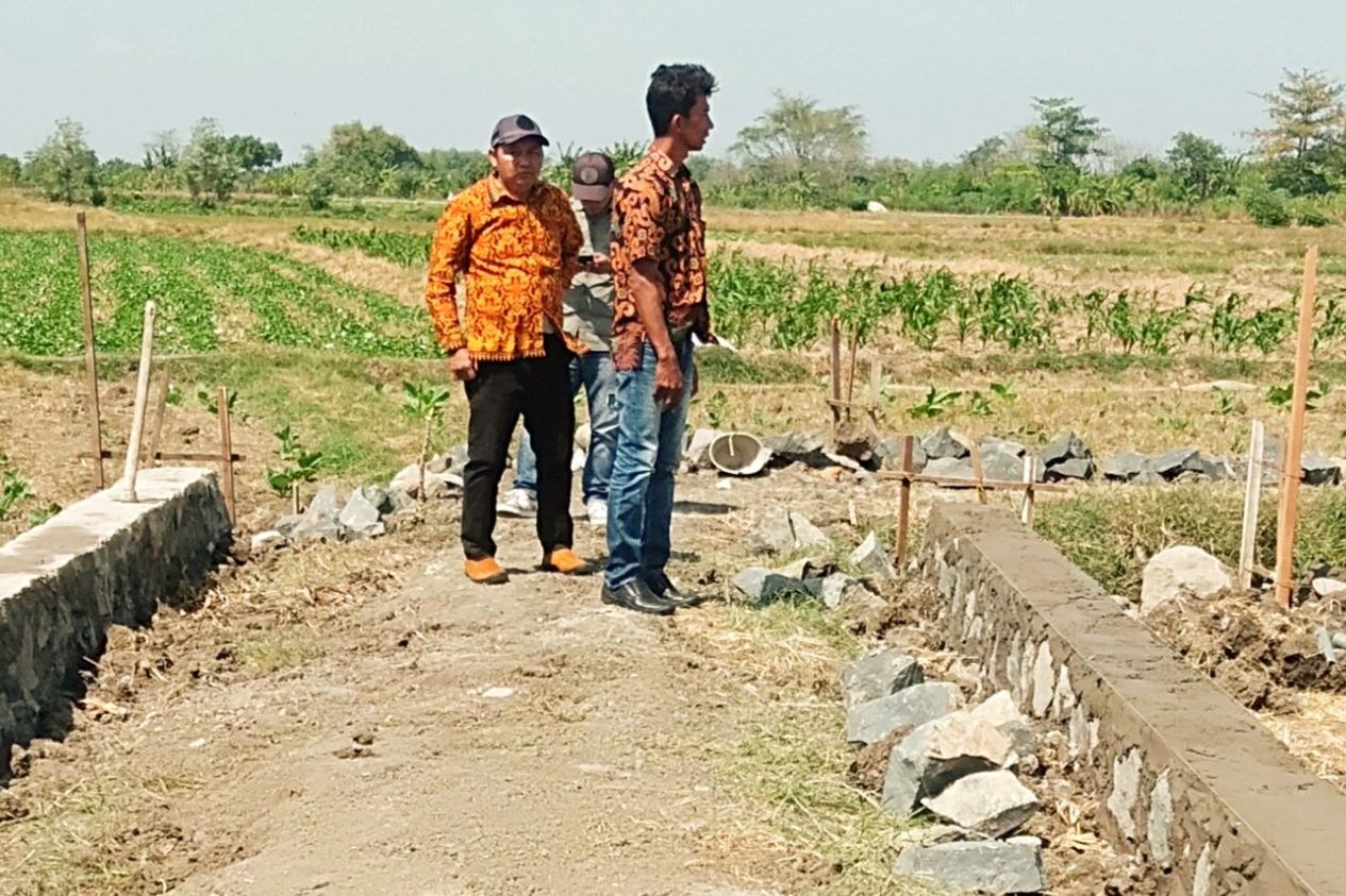 Kembangkan Pertanian Tembakau <em>Jinten Pakpie</em>, Desa Pucung Gresik Bangun JUT
