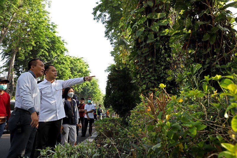 Eri Cek Tanaman di Taman Tengah Kota Surabaya