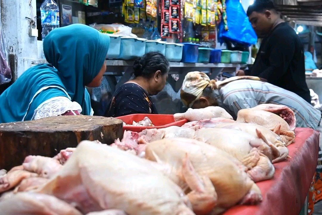 Pakar Pangan Ungkap Alasan Ayam Kerap Jadi Penyebab Keracunan Massal di MBG