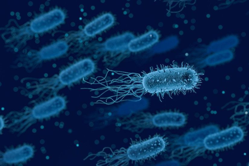 Air Tercemar E. coli, Warga Tangsel Tagih Rp539 Juta