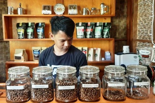 Hadapai Persaingan Kopi, PTPN XII Jalankan 2 Jurus Hadapi Brasil dan Kolombia