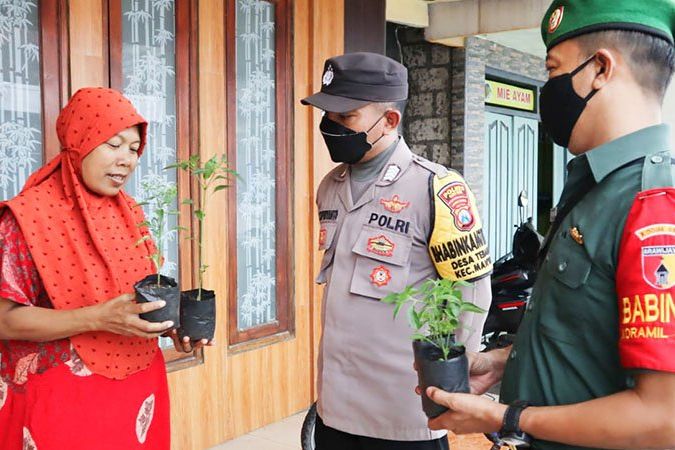 Harga Cabai Mahal, Polisi Gresik Bagikan Bibit Cabai Untuk Warga