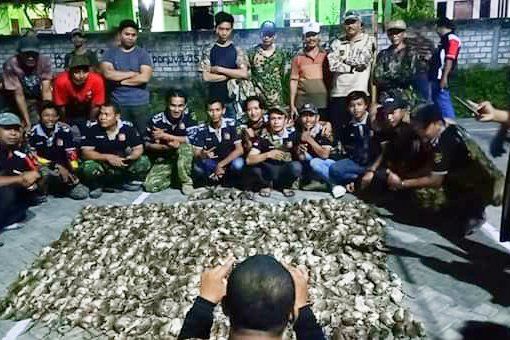 Musim Tanan, Warga Gresik Berburu Hama Tikus