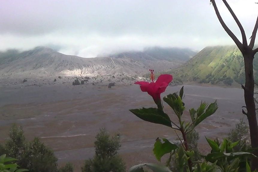 Kuota Kunjungan Wisatawan ke Gunung Bromo Terus Meningkat, Akan Tambah 50 Persen
