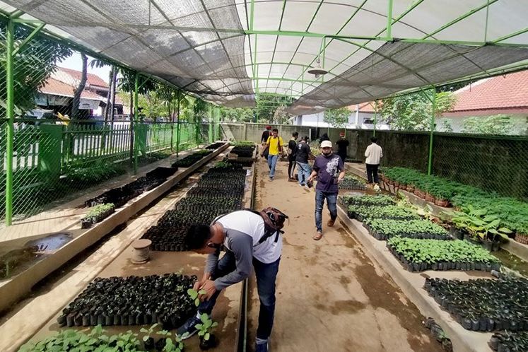 Budidaya Urban Farming Terus Diminati, Permintaan Bibit ke DKPP Surabaya Meningkat