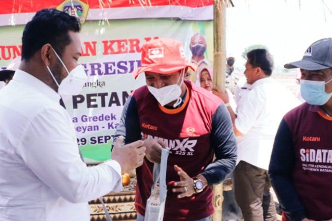 Merugi Saat Panen Akibat Hama Tikus, Petani Gresik Wadul Bupati