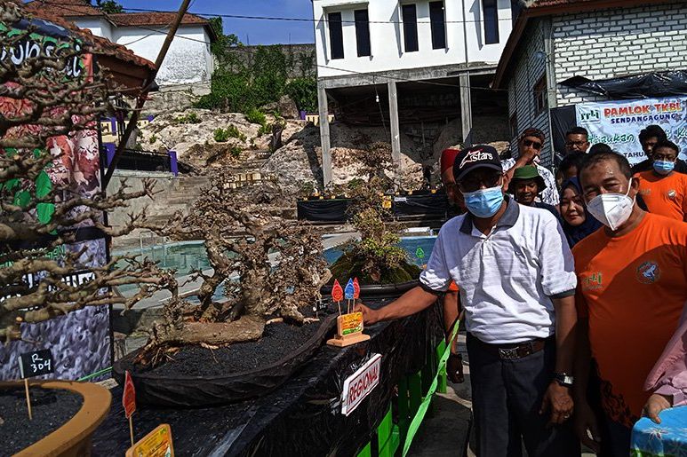 PPBI Lamongan Gelar Festival Bonsai dan Kenalkan Wisata
