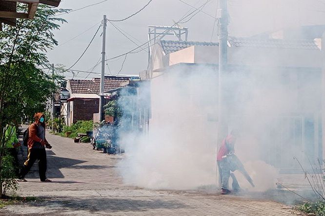 166 Kasus DBD di Kabupaten Probolinggo Selama Tahun 2021, Satu Diantaranya Meninggal