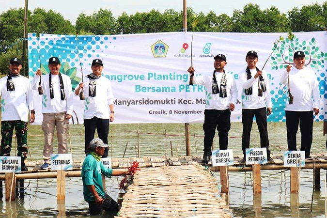 Pemda Gresik Bersama Petronas dan SKK Migas Tanam 10.000 Bibit Mangrove di Kalimireng