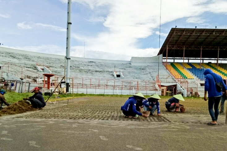 Sesuaikan Standar FIFA, Rumput Gelora 10 November Sudah Selesai Ditanam