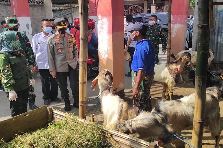 PPKM Darurat, Penjualan Hewan Kurban Merosot Sampai 50 Persen