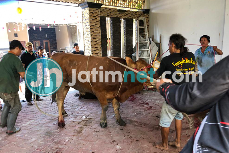 DLH Surabaya Sebar Petugas Pemantau Pemotongan Hewan Kurban