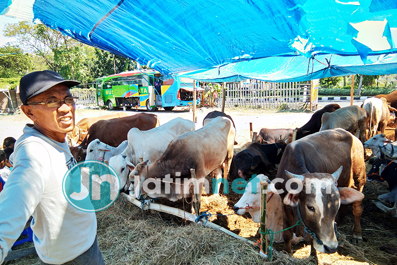 Pandemi Covid-19, Pedagang Hewan Kurban Harus Miliki Surat Sehat