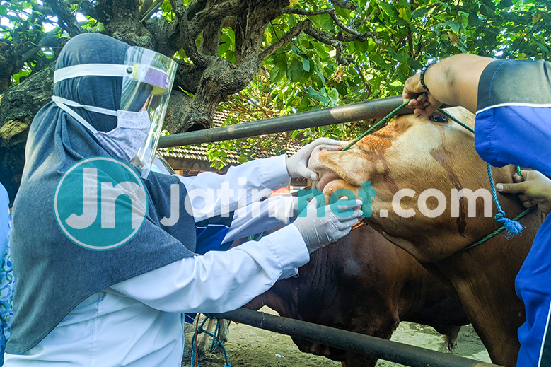 Menerapkan Disiplin Protokol Kesehatan Jelang Iduladha di RPH