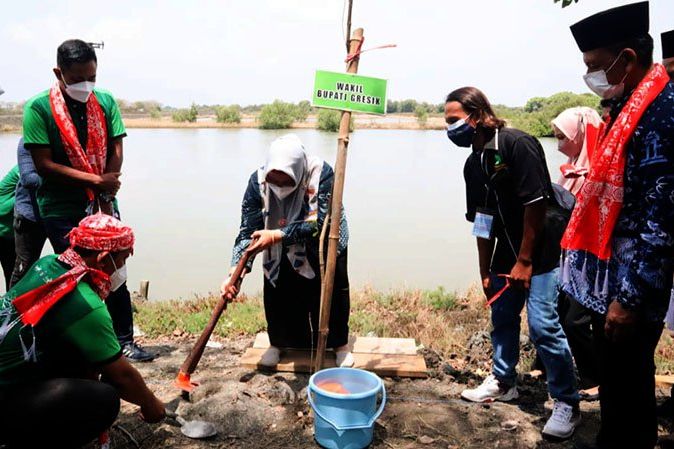 Mangrove Biru Kalimireng, Konsep Pengayaan Spesies Baru Bernilai Ekonomi