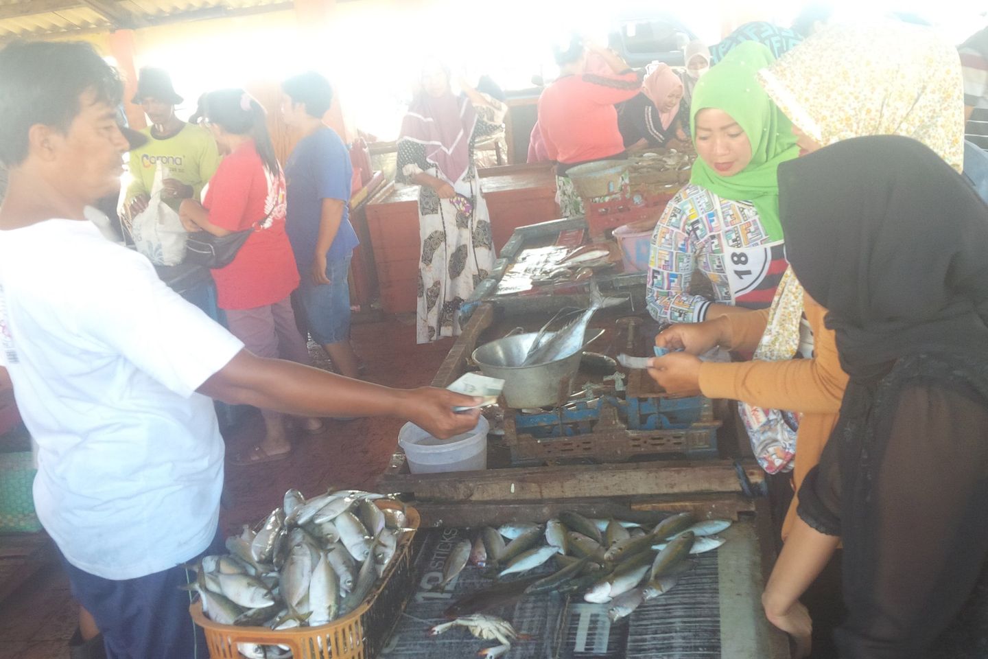 Produk Perikanan Domestik Turun 30 Persen Sepanjang Pandemi Covid-19