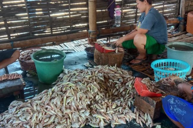 Musim Hujan, Harga Ikan Kering di Probolinggo Meroket