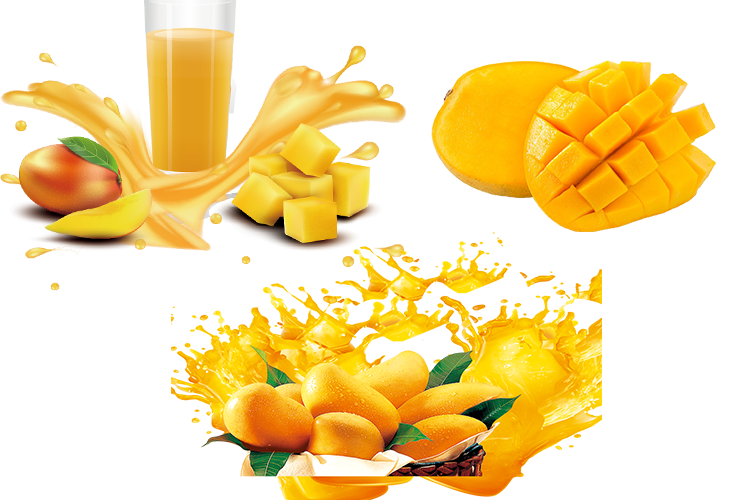Efek Samping Konsumsi Buah Mangga Secara Berlebihan