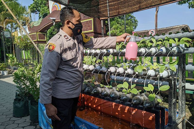 Di Balik TNI-Polri saat Pandemi Covid-19 Bertanam Sayur, Dibagikan Kepada Warga yang Isoman