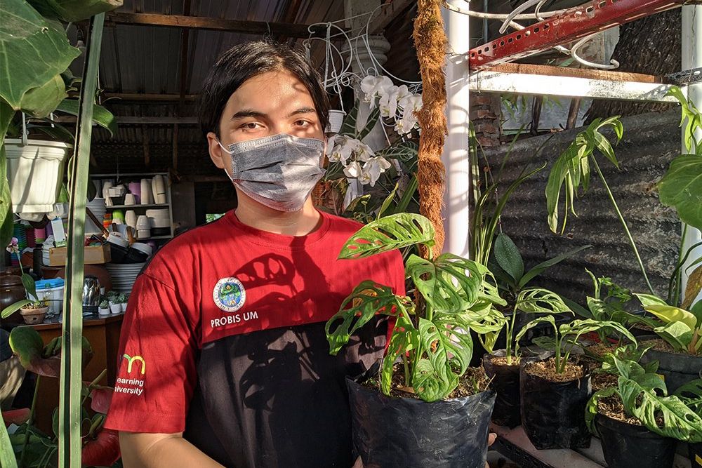 Janda Bolong Jadi Incaran Pecinta Tanaman di Ponorogo