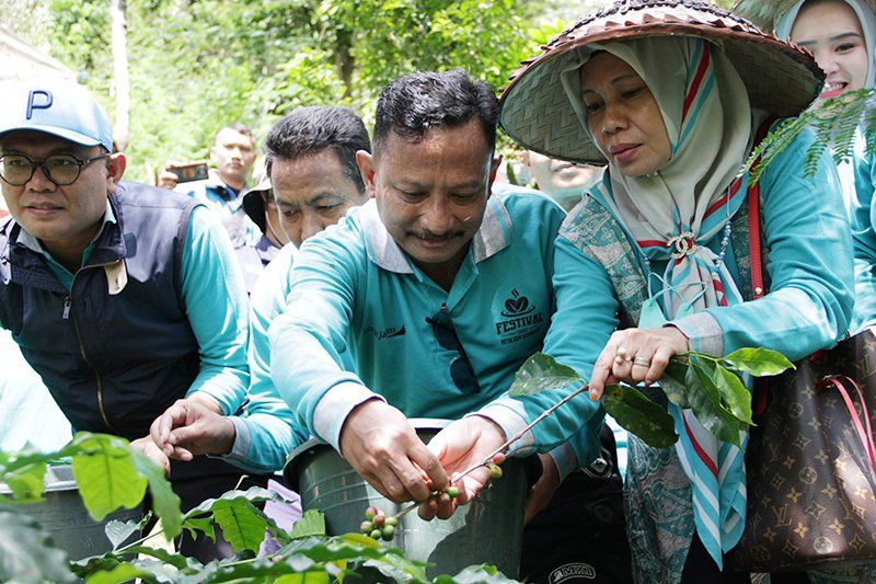 Festival Petik Kopi 2022, Pemkab Situbondo Dorong Petani Jaga Kualitas Kopi Ekspor