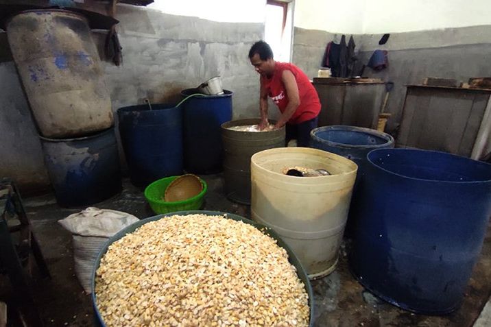 Harga Kedelai Impor Meroket, Produsen Pilih Kecilkan Ukuran Tempe