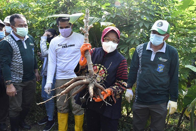 Ini Jurus Risma Menghadang Resesi di Tengah Pandemi