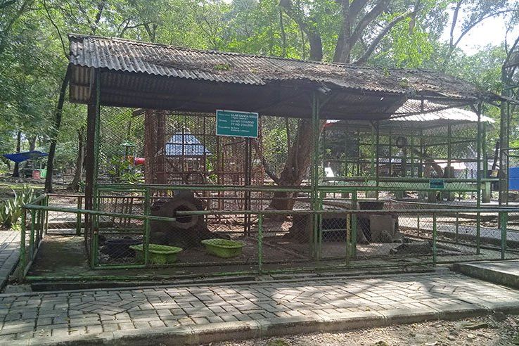 Koleksi Satwa Wisata Waduk Gondang Lamongan Jadi Perbincangan, Ini Kata Kepala Disparbud