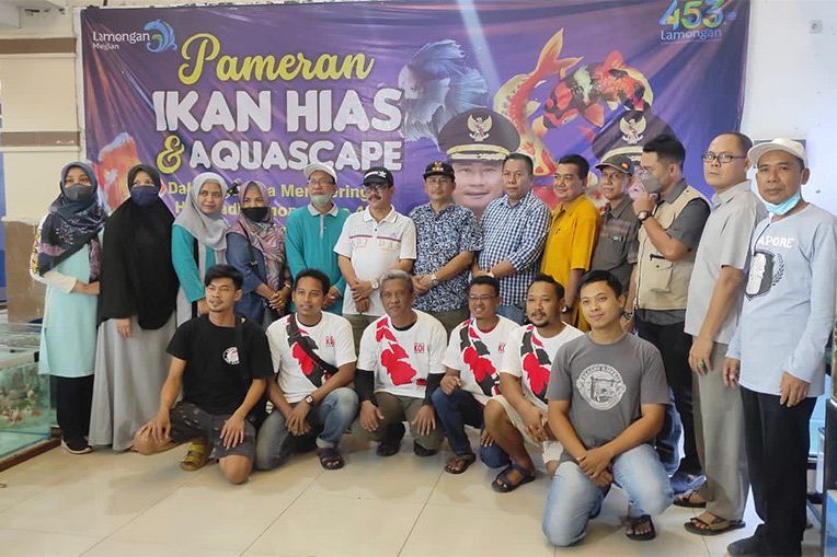 Penghobi Ikan Hias Akan Mendapat Fasilitas Dari Dinas Perikanan Kabupaten Lamongan