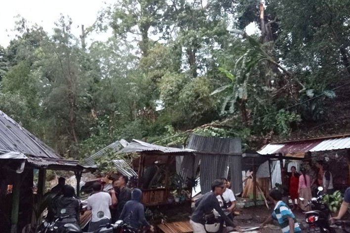 Hujan Deras, 2 Orang di Warkop Jolotundo Mojokerto Meningal Tertimpa Pohon Tumbang