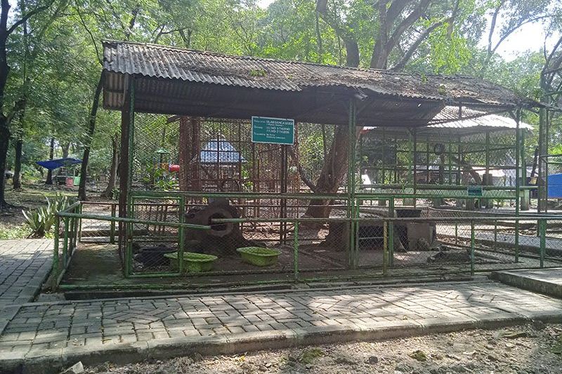 Dikelola Dinas Pariwisata, Kandang Hewan di Wisata Waduk Gondang Lamongan Rusak