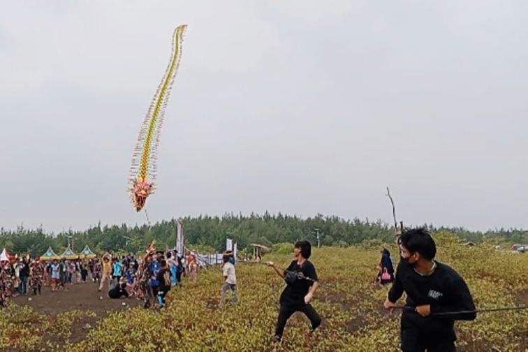 HPN 2022 di Probolinggo Diperingati Lewat Festival Layangan Hias