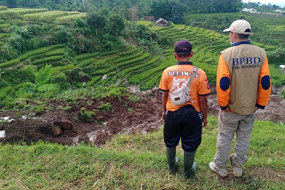 Sawah di Lereng Gunung Penanggungan Longsor