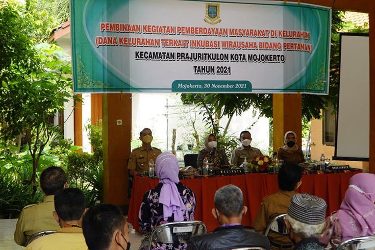 Ning Ita Lirik Potensi Wisata Petik Sayur Kota Mojokerto