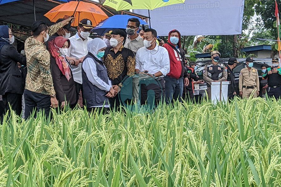 Giri Kenalkan Padi Varietas KIP Kepada Masyarakat Ponorogo