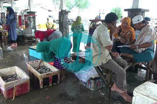 Dampak Cuaca Buruk, Stok Ikan di TPI Paiton Menipis