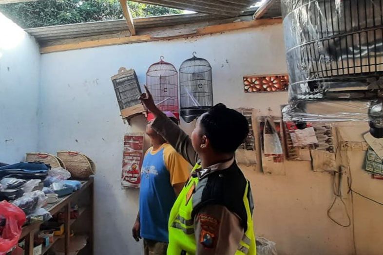 Toko Burung di Probolinggo Disatroni Maling, 8 Burung Raib