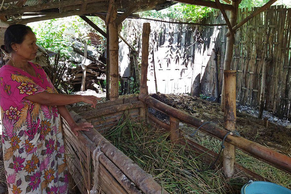 Jelang Sahur, Sapi Warga Probolinggo Raib