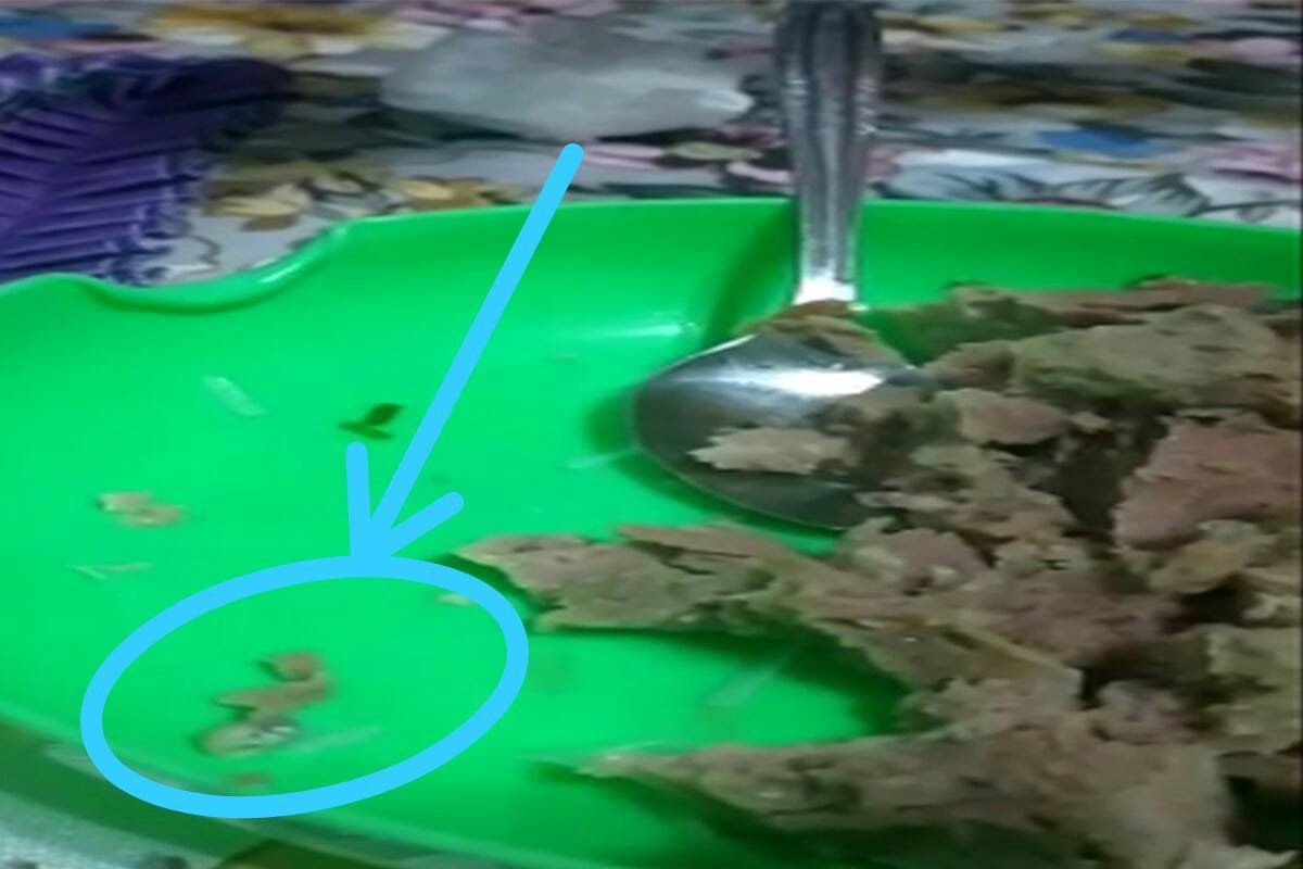 Viral, Bakso Daging Tikus Diduga Beredar di Madiun