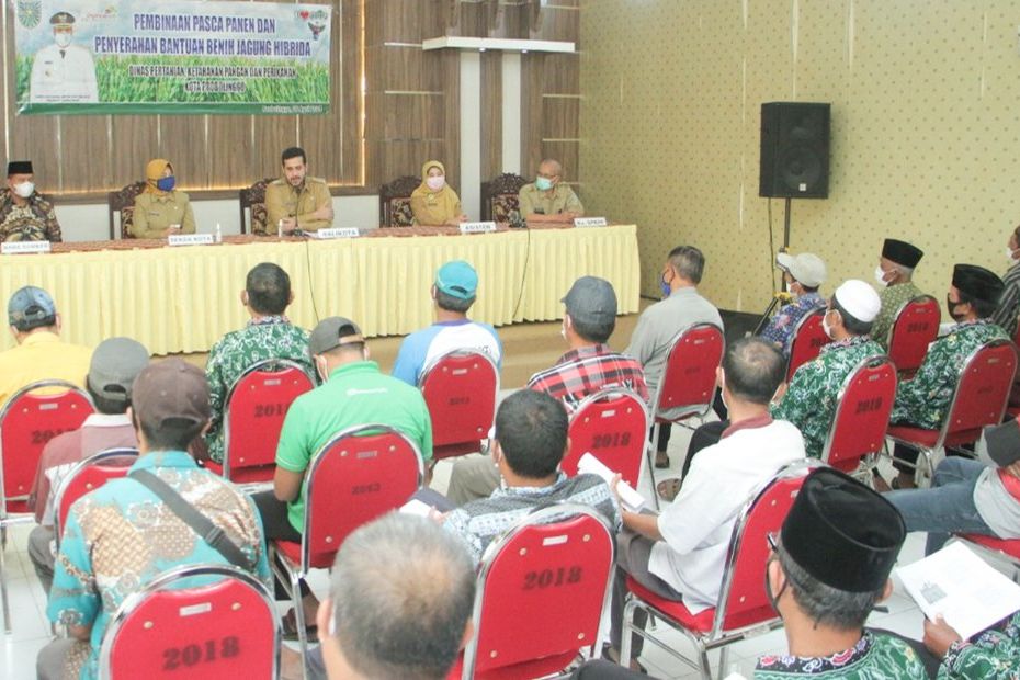 Petani Probolinggo Digelontor 15 Ton Benih Jagung Hibrid