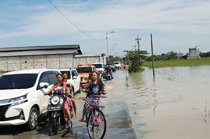 Puluhan Hektar Sawah Terendam Air, Pemerintah Janji Bakal Ganti Rugi