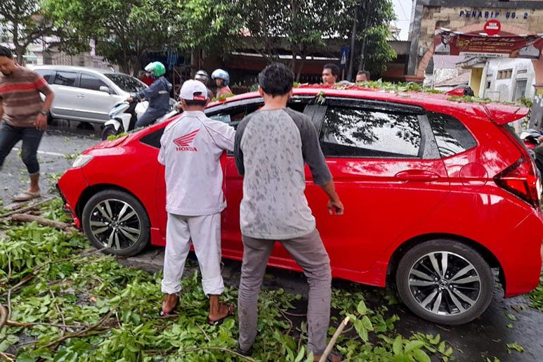 Pohon Tumbang di Mojokerto Timpa Dua Pengendara, Satu Orang Terluka